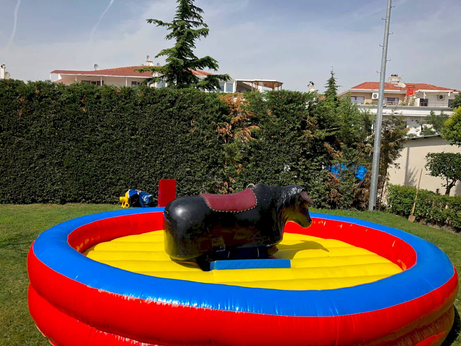 Rodeo
